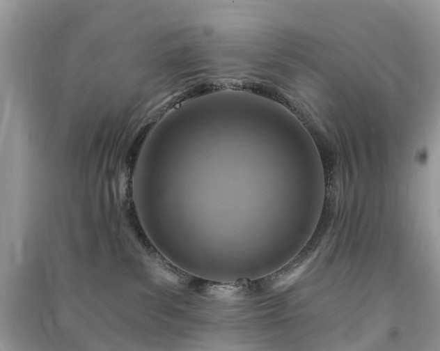 X0000091000139200708091548