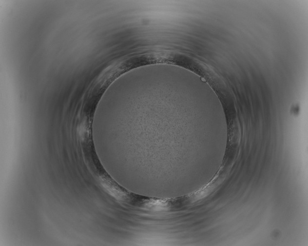 X0000091000140200708091548