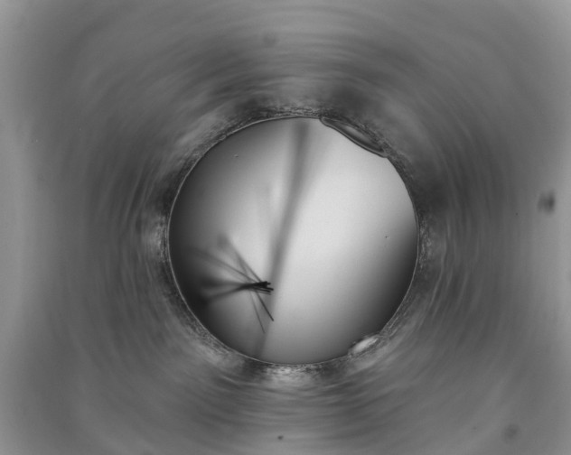 X0000091000141200708091548