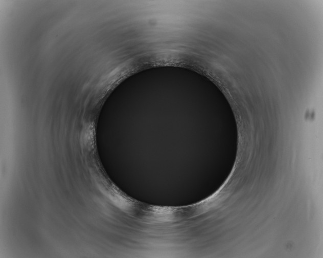 X0000091000144200708091548