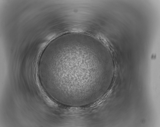 X0000091000145200708091547