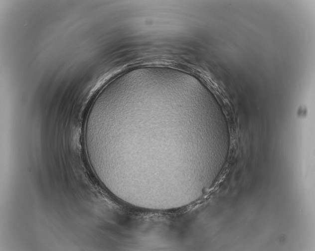 X0000091000146200708091547