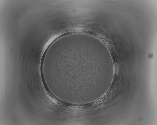 X0000091000147200708091547