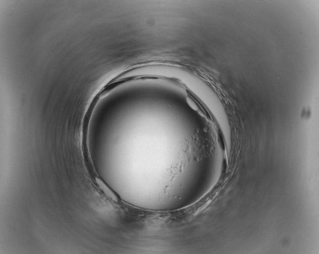X0000091000148200708091547