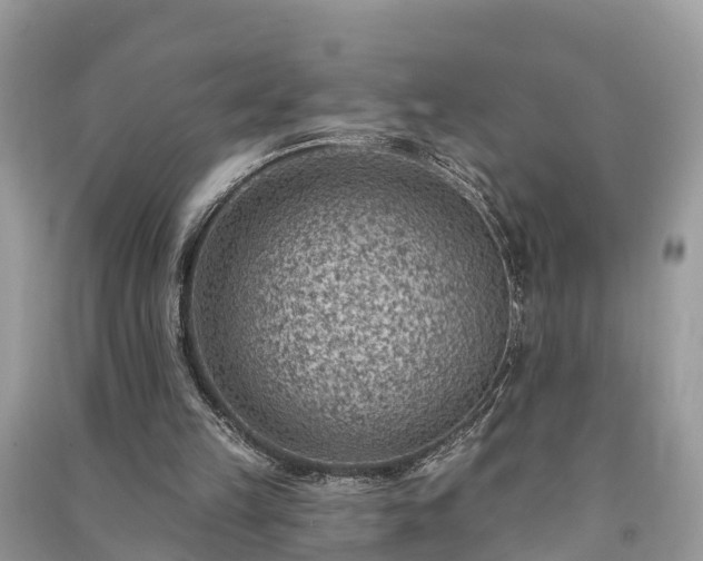 X0000091000149200708091547