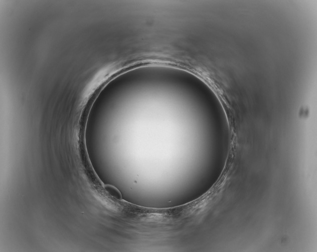 X0000091000151200708091547