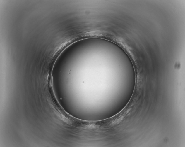 X0000091000153200708091547