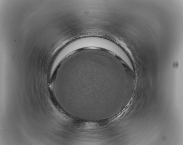 X0000091000154200708091547