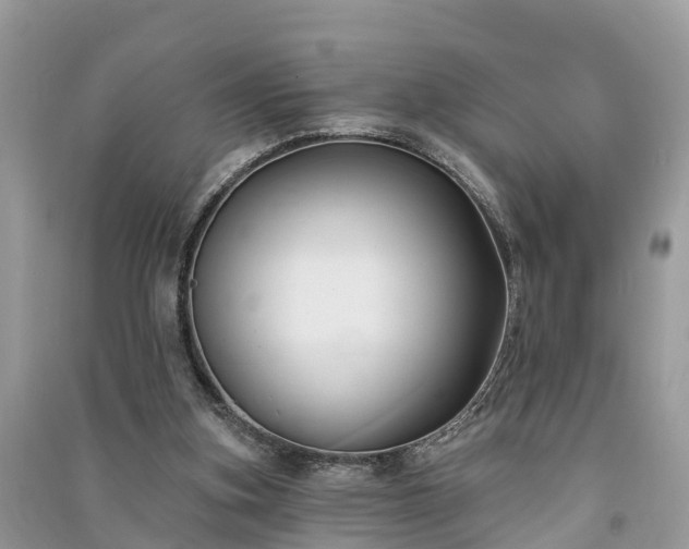 X0000091000155200708091547