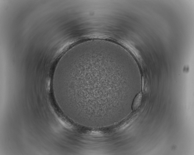 X0000091000157200708091547