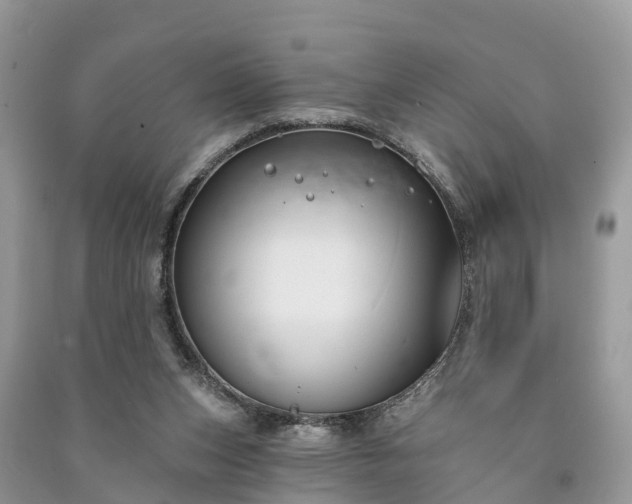 X0000091000159200708091547