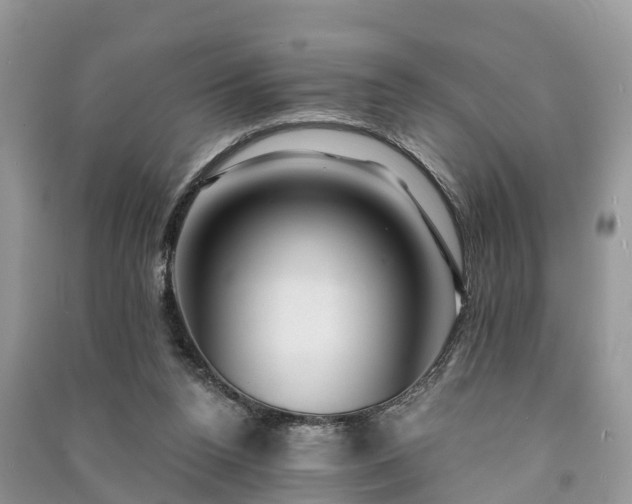 X0000091000160200708091547