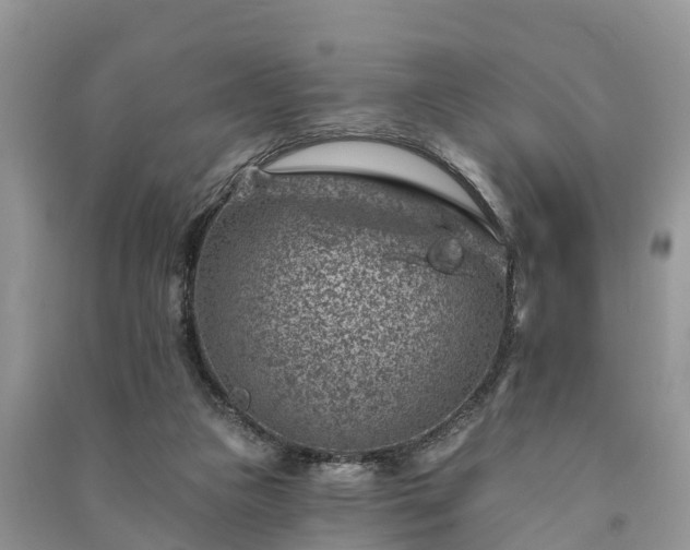 X0000091000161200708091547