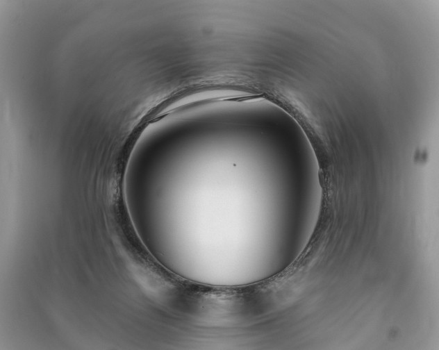 X0000091000164200708091547