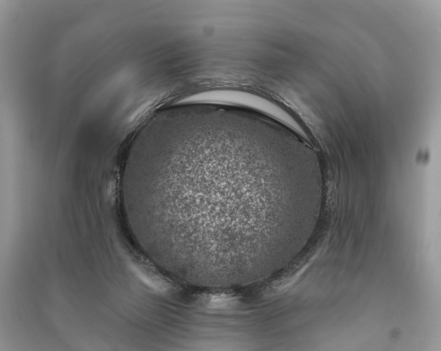 X0000091000165200708091547