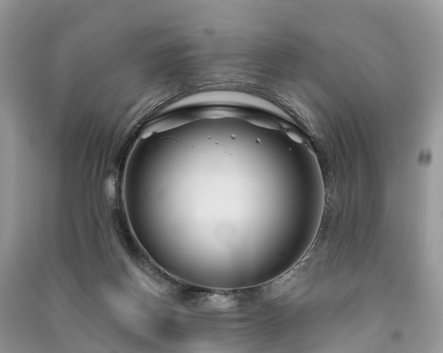 X0000091000166200708091547