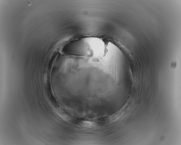 X0000091000167200708091547