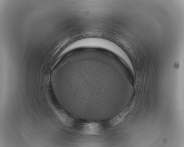 X0000091000168200708091547