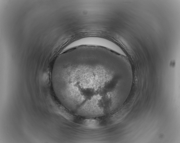 X0000091000169200708091547