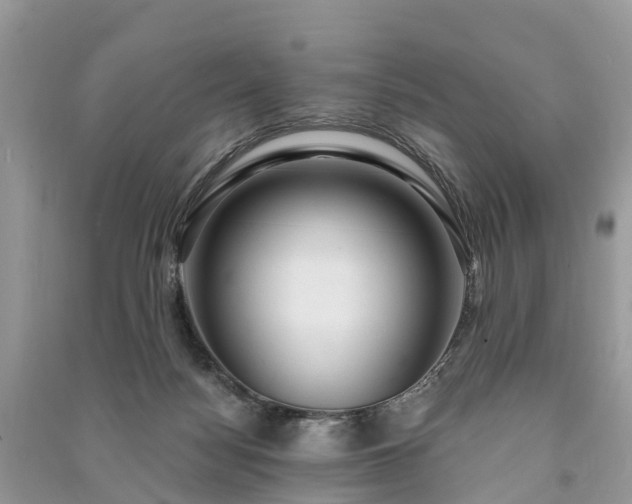 X0000091000172200708091548