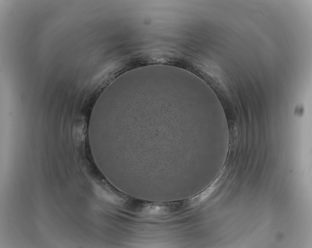 X0000091000174200708091548
