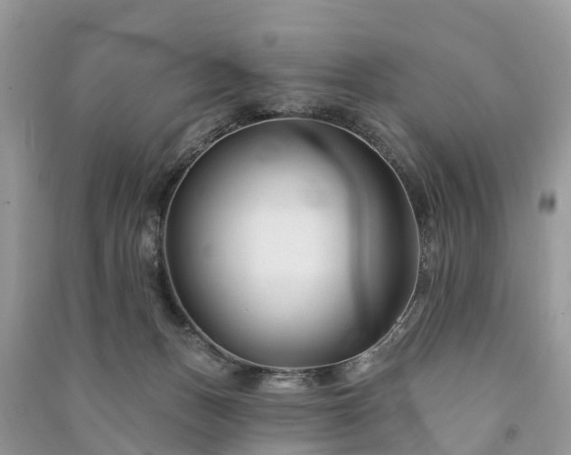 X0000091000175200708091548