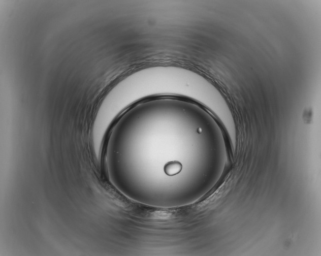 X0000091000176200708091548