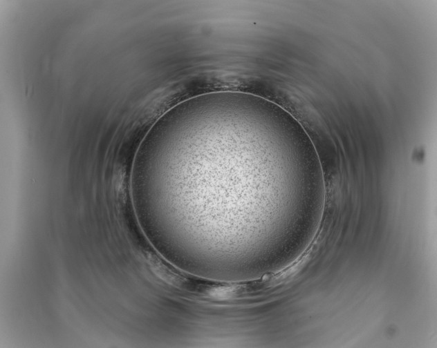 X0000091000178200708091548