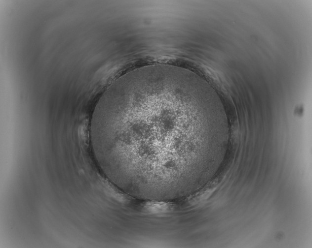 X0000091000181200708091548