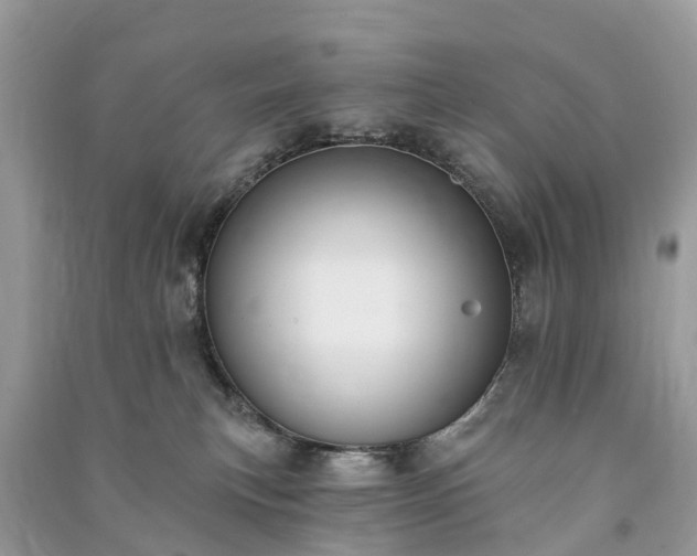 X0000091000183200708091548