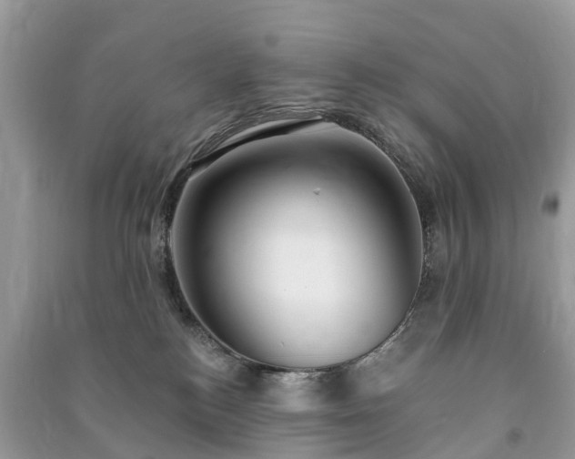 X0000091000184200708091548