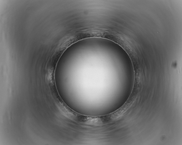 X0000091000185200708091548