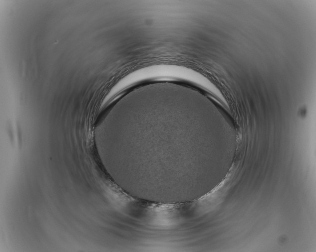 X0000091000186200708091548
