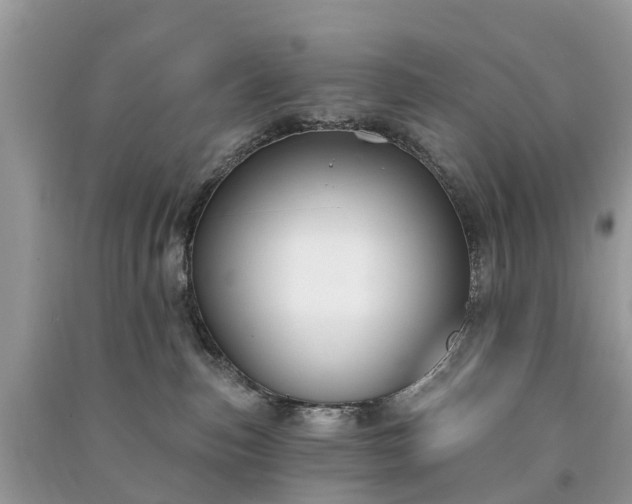 X0000091000187200708091548