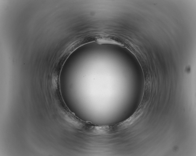 X0000091000188200708091548