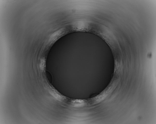 X0000091000189200708091548