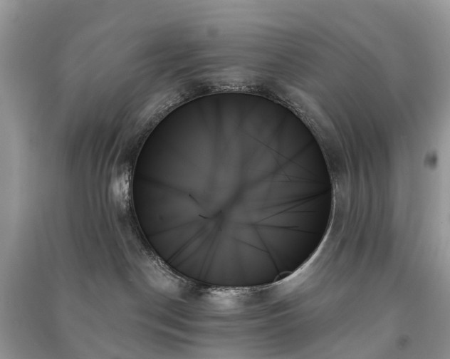X0000091000190200708091548