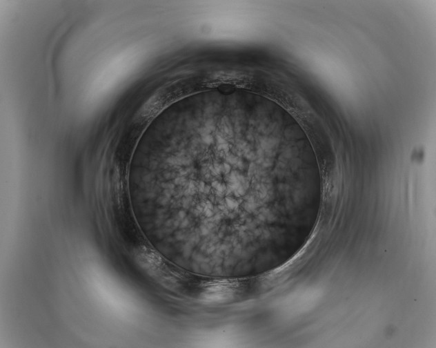 X0000091000191200708091548