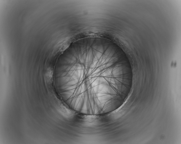 X0000091000192200708091548