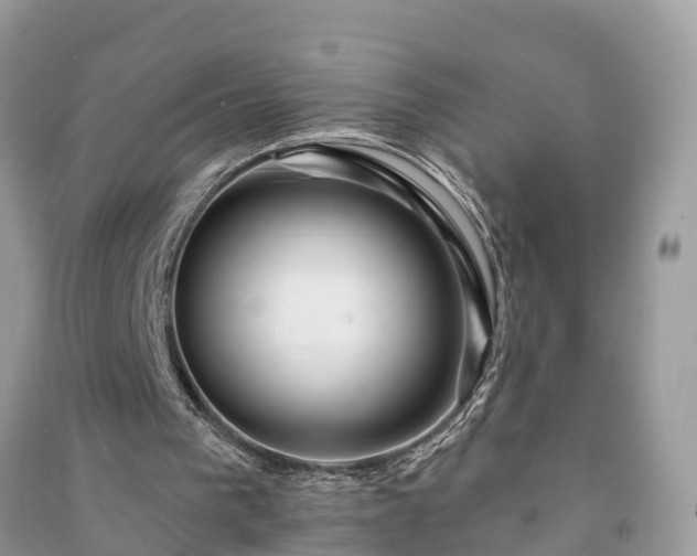 X0000091000193200708091547