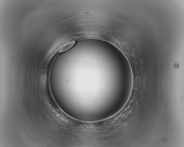X0000091000194200708091547