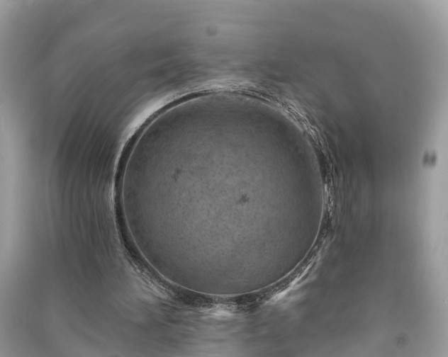 X0000091000196200708091547