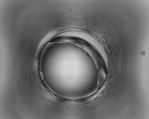 X0000091000197200708091547