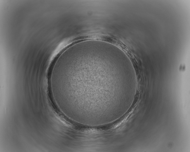 X0000091000198200708091547