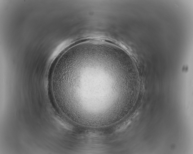 X0000091000199200708091547