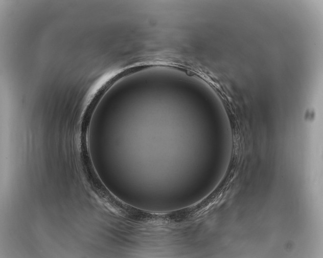 X0000091000200200708091547