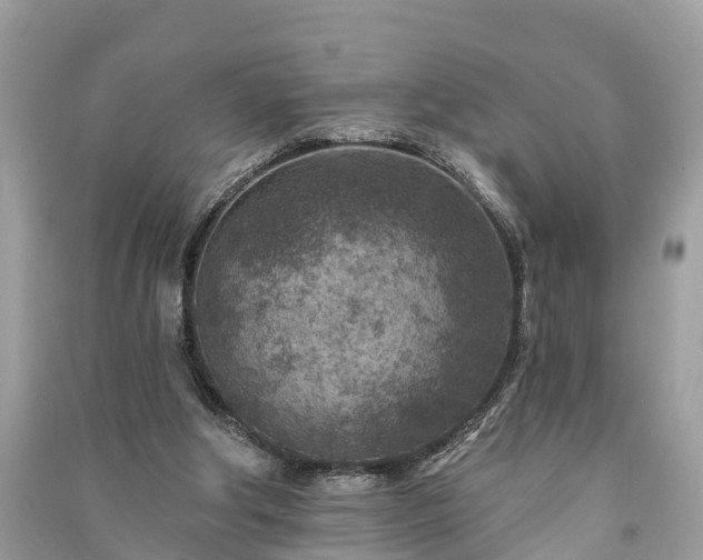 X0000091000202200708091547