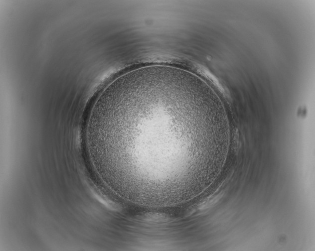 X0000091000203200708091547