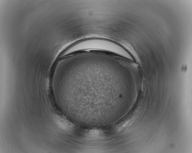 X0000091000204200708091547