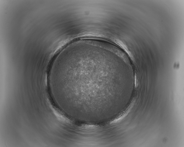 X0000091000205200708091547